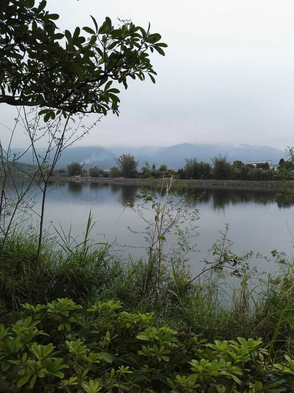 1489800413130136.jpg mmexport1489228857250.jpg