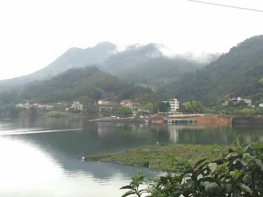 1489800424721858.jpg mmexport1489228632146.jpg