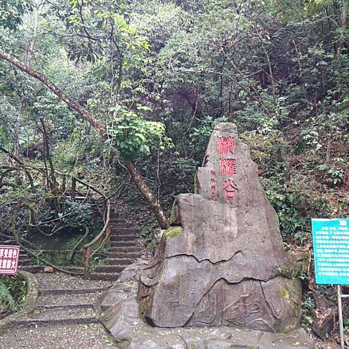 1489800479336422.jpg mmexport1489228719661.jpg