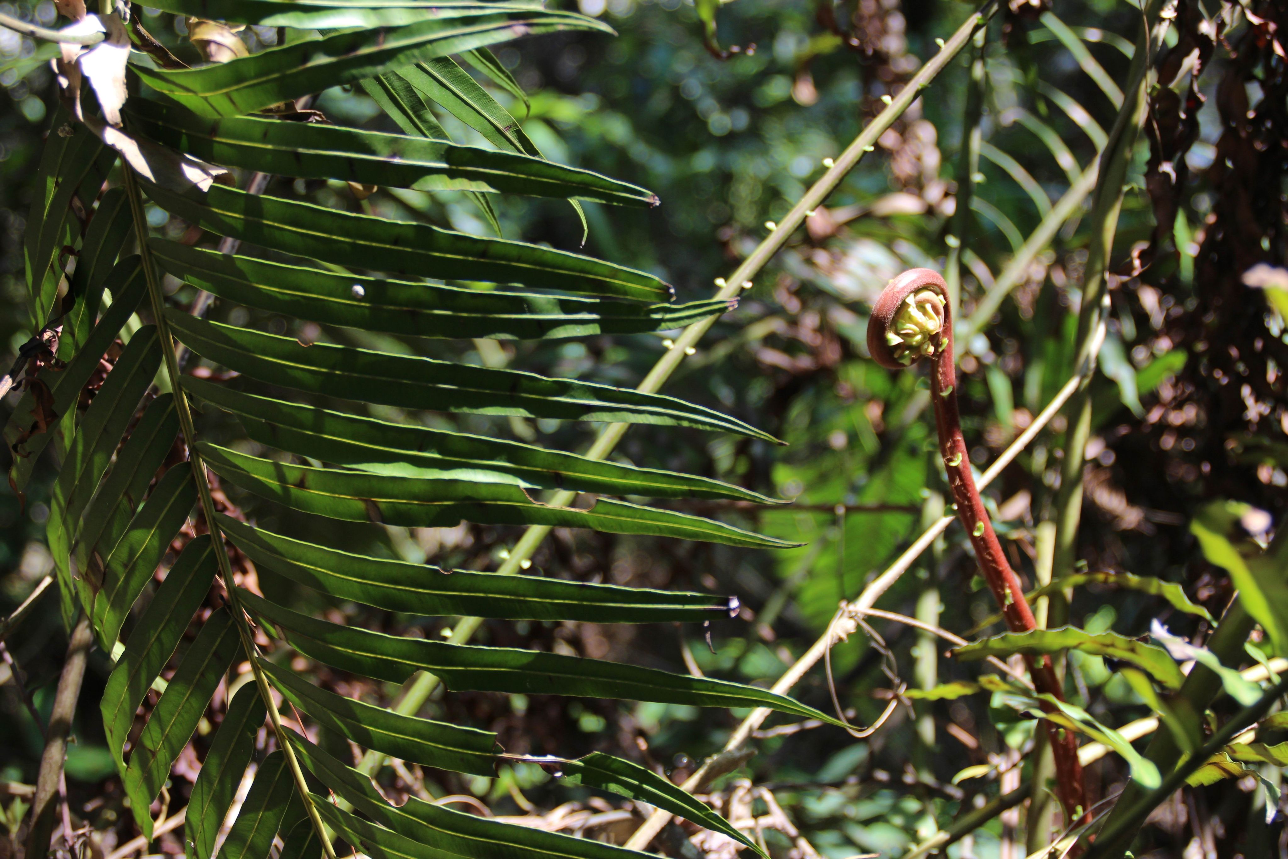 1489800505139285.jpg 7af40ad162d9f2d31430f355a8ec8a136327cc63.jpg