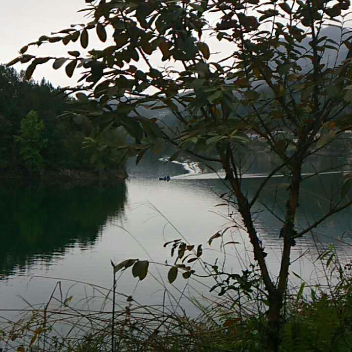 1489800515122429.jpg mmexport1489228683522.jpg